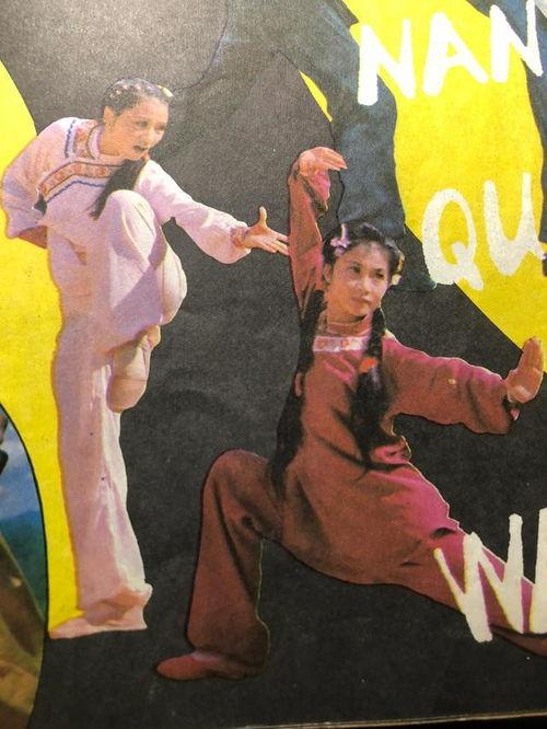 老电影南拳王在线观看,热血拳魂，激战江湖  第3张